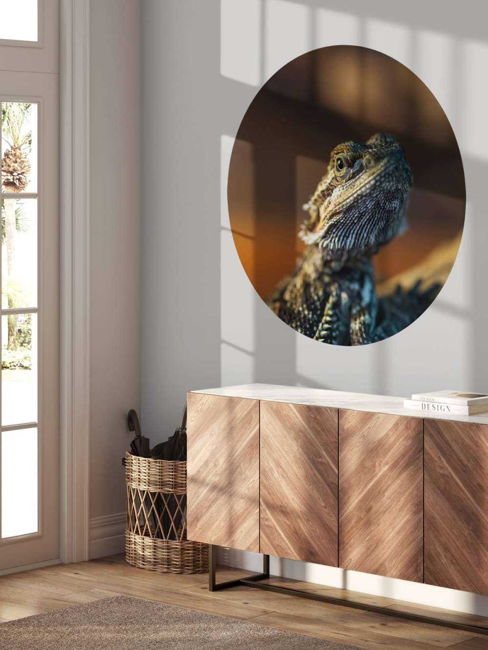 Nahaufnahme Chamäleon