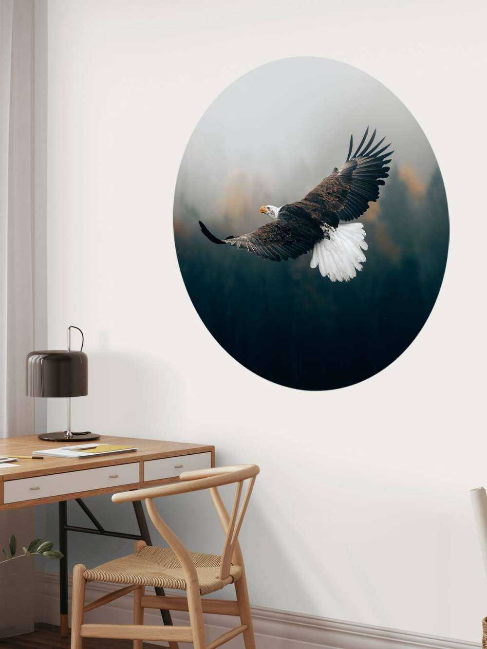 Weißkopfseeadler über dem Wald