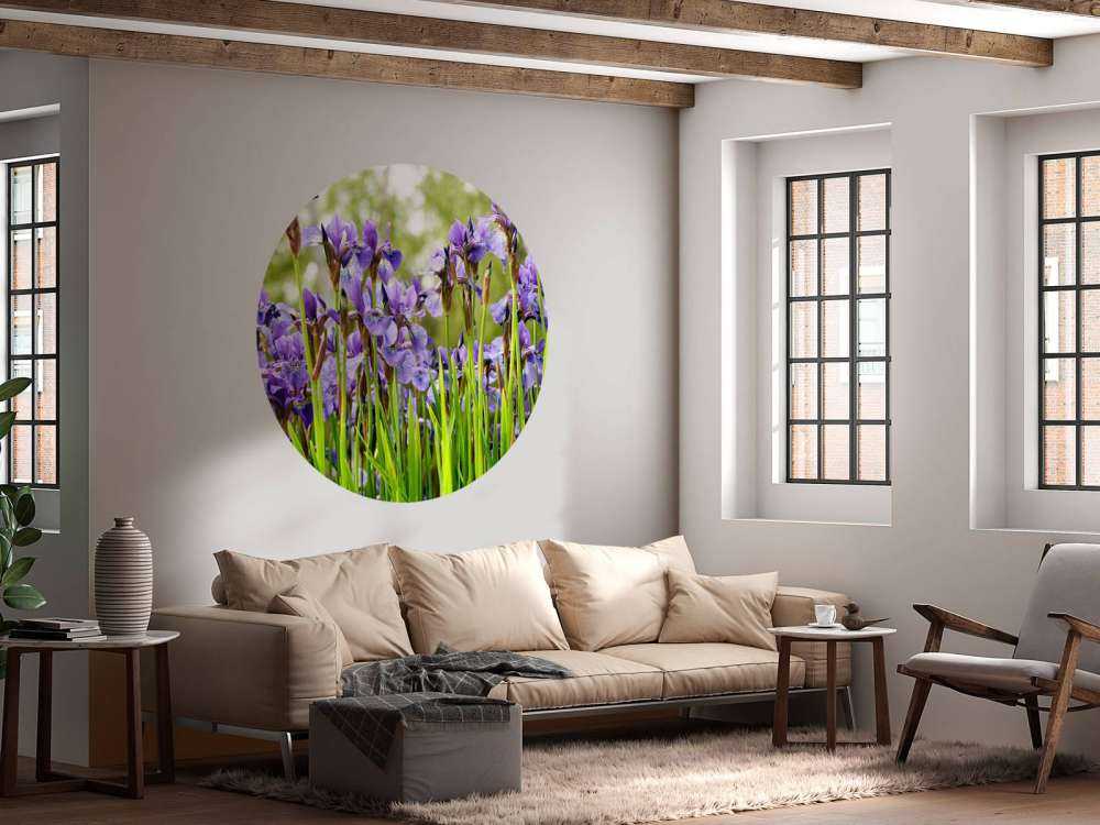 Iris