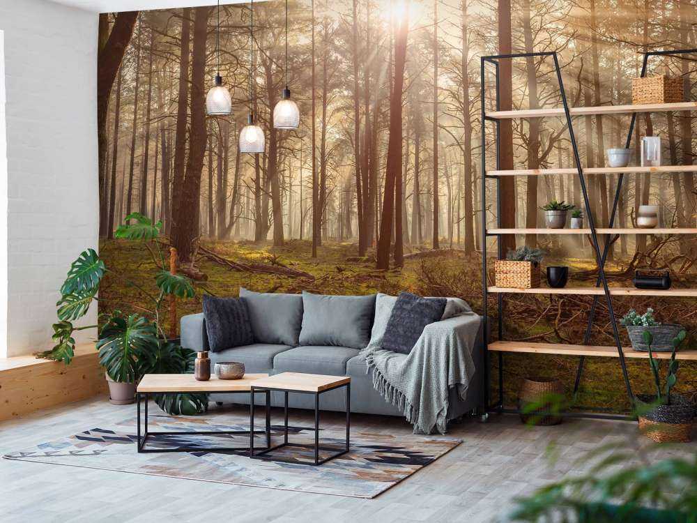 Wald mit hohen Bäumen