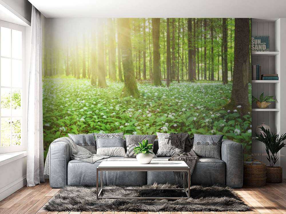 Wilder Wald mit Sonnenaufgang