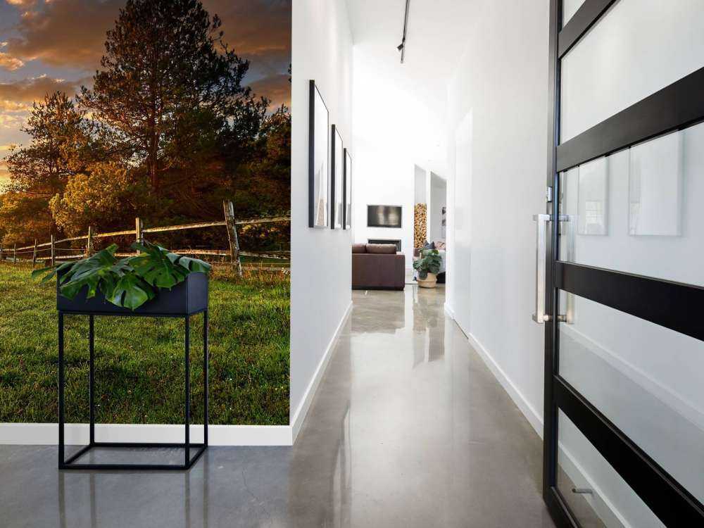 Weide mit Sonnenuntergang