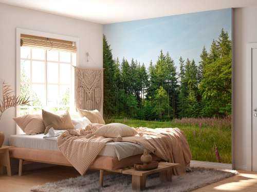 Offener Raum im Wald