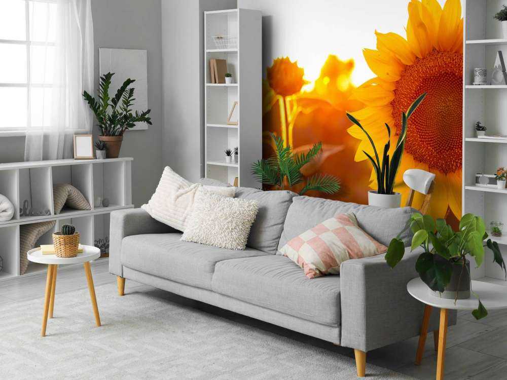 Warmes Sonnenblumenfeld