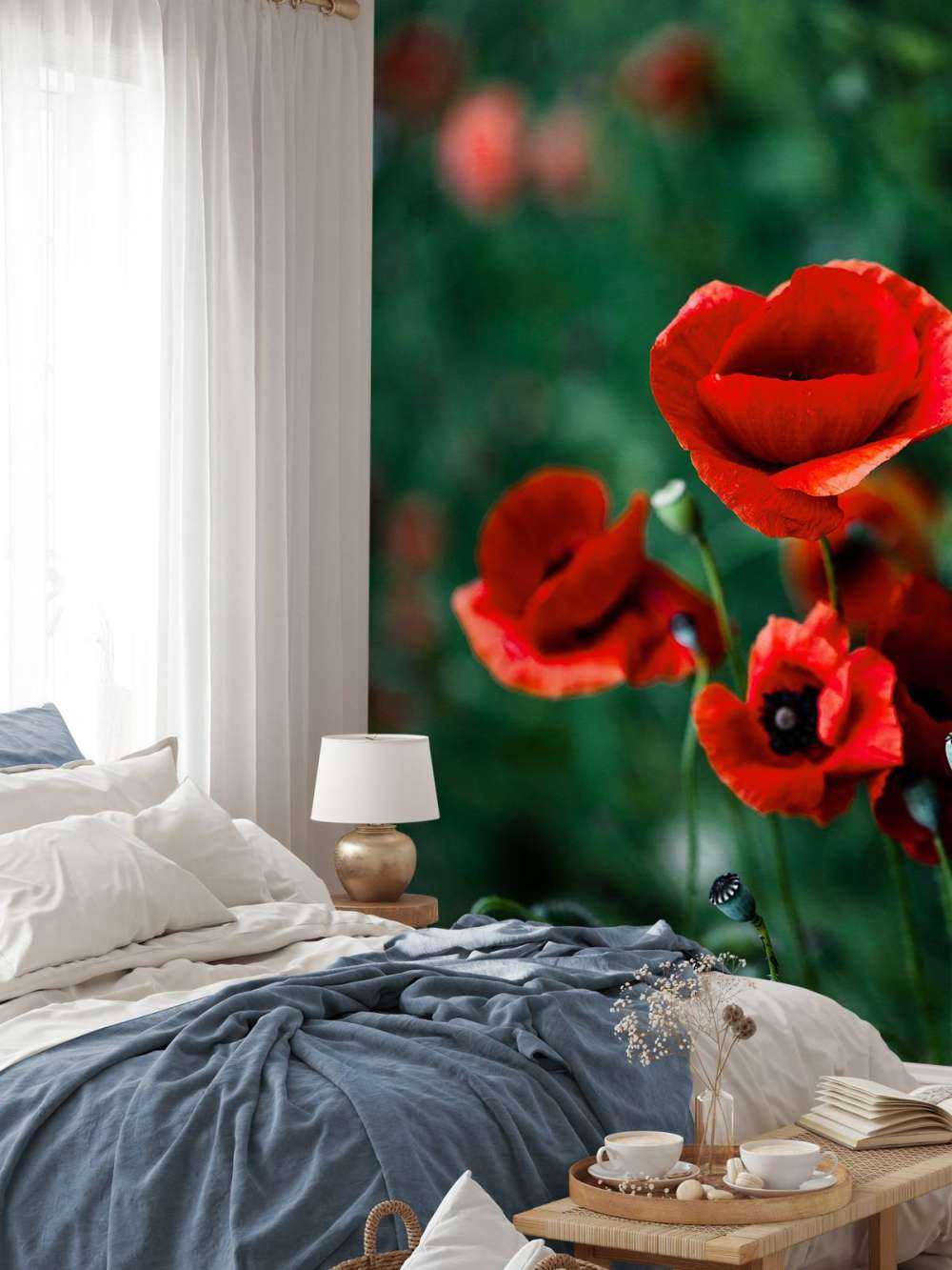 Mohn und Gras