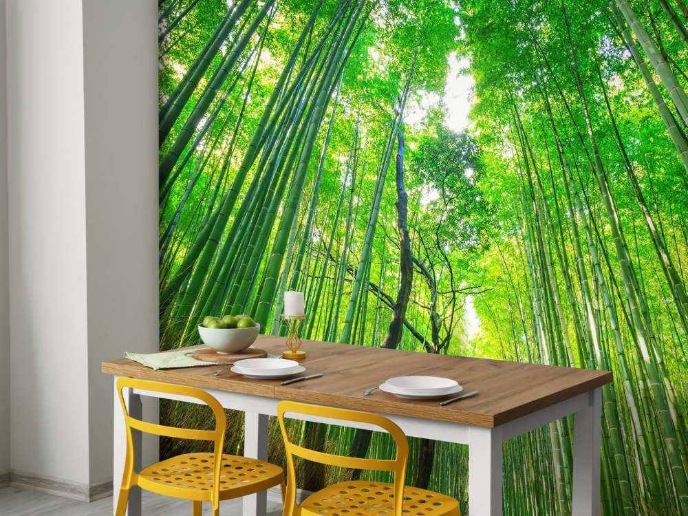 Bambuswald von Arashiyama