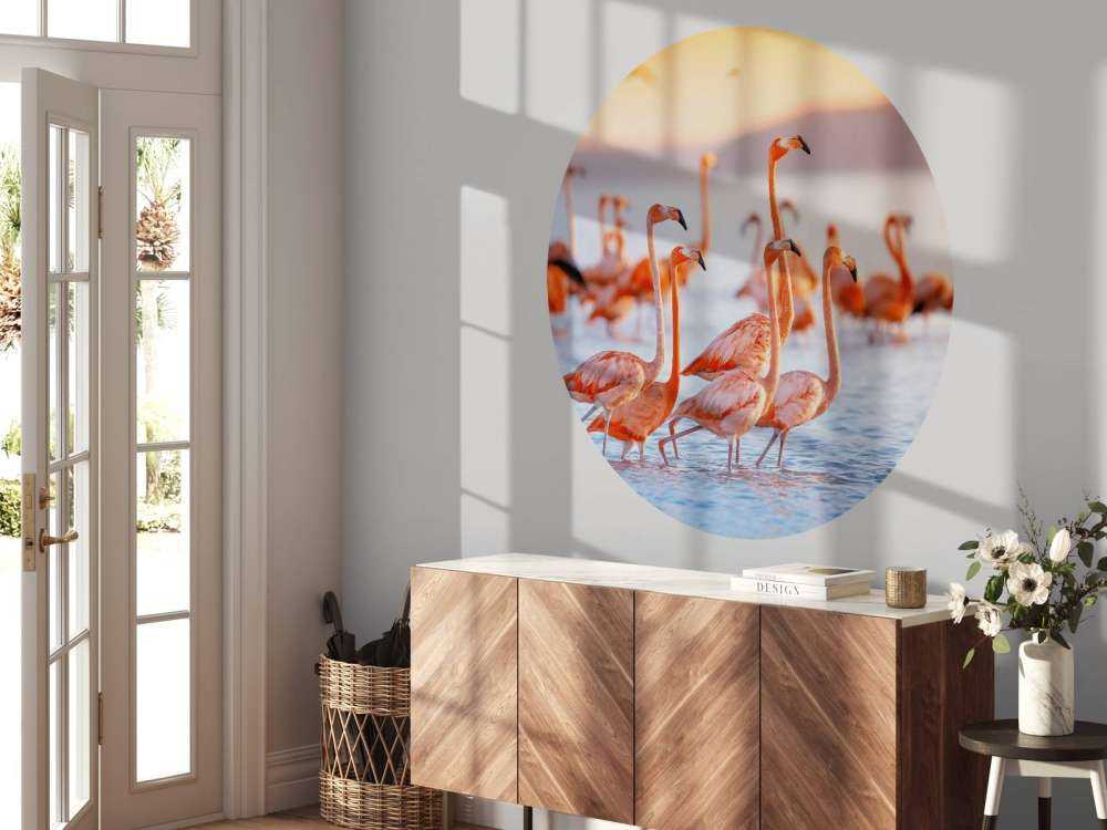 Glotzende Flamingos