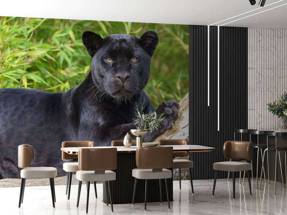 Schwarzer Panther auf einem Baum