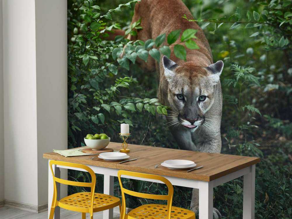 Schleichender Berglöwe