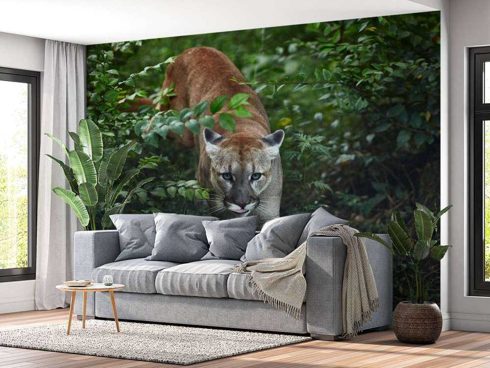 Schleichender Berglöwe