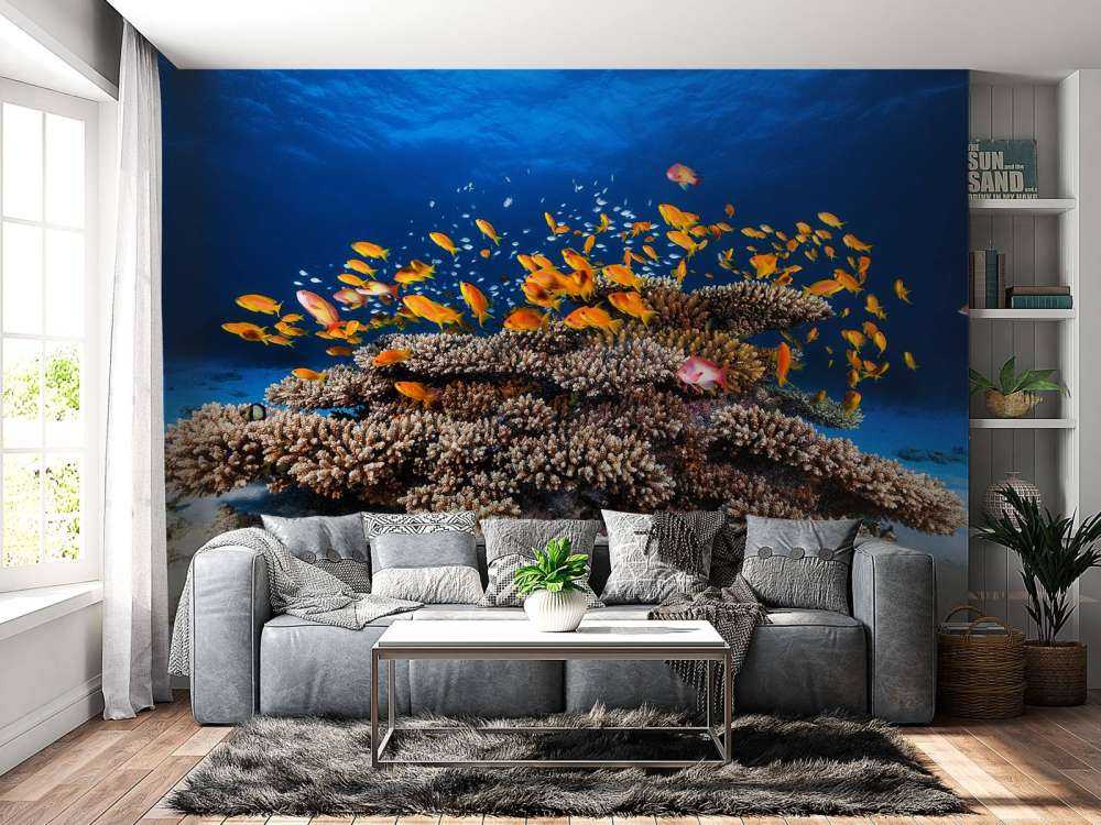 Marine Life
