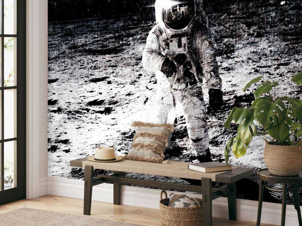 Alter Astronaut