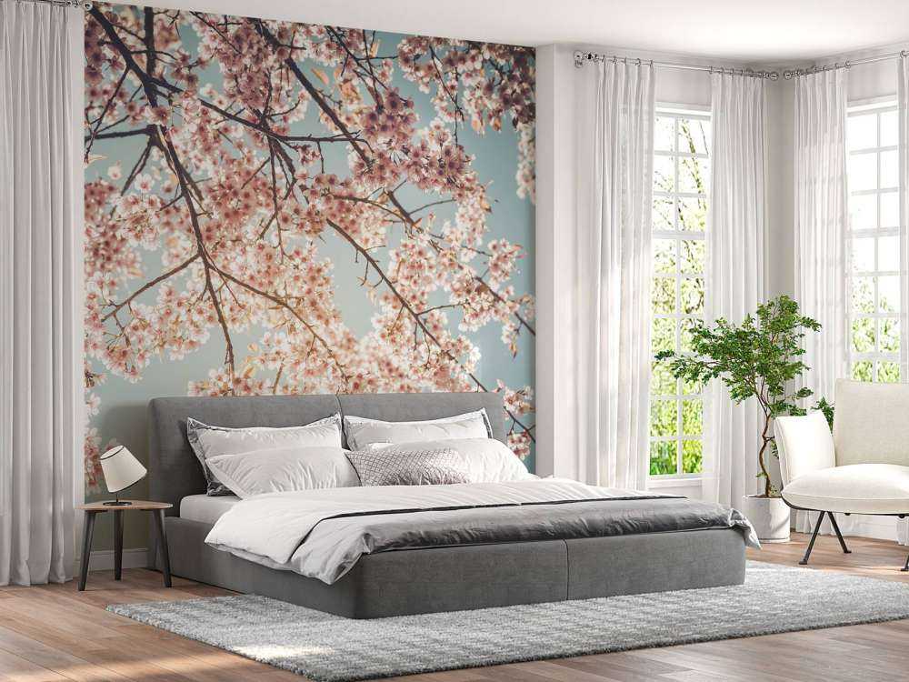 Kirschblüte