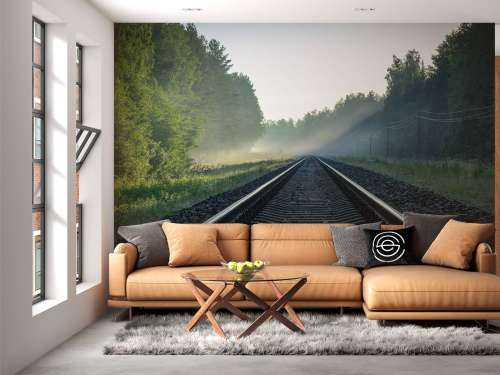 Eisenbahnschienen durch den Wald