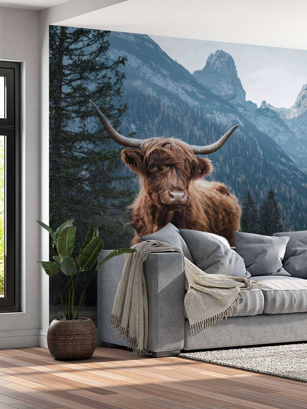 Schottischer Hochländer zwischen den Bäumen