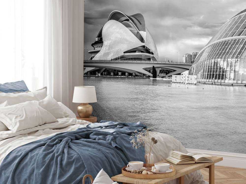 Opernhaus - Palau de les arts Reina Sofia & Hemisfèric - Valencia