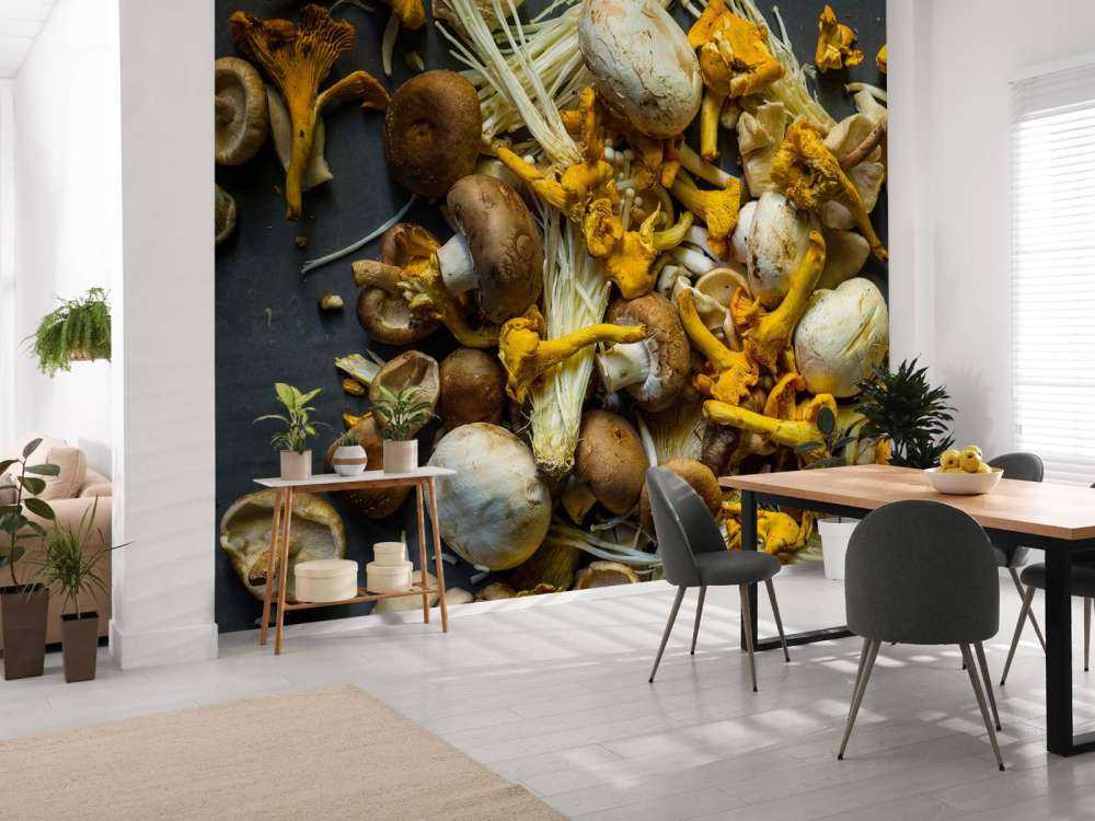 Verschiedene Pilze