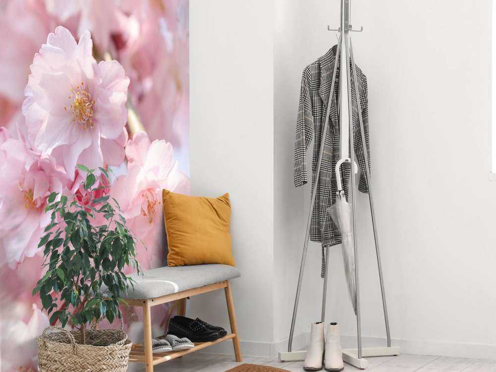 Nahaufnahme rosa Blüten