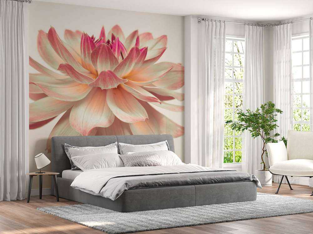 Dahlienblüte
