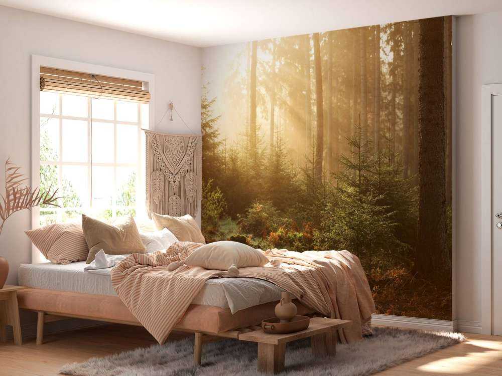 Sonnenstrahlen durch den Wald