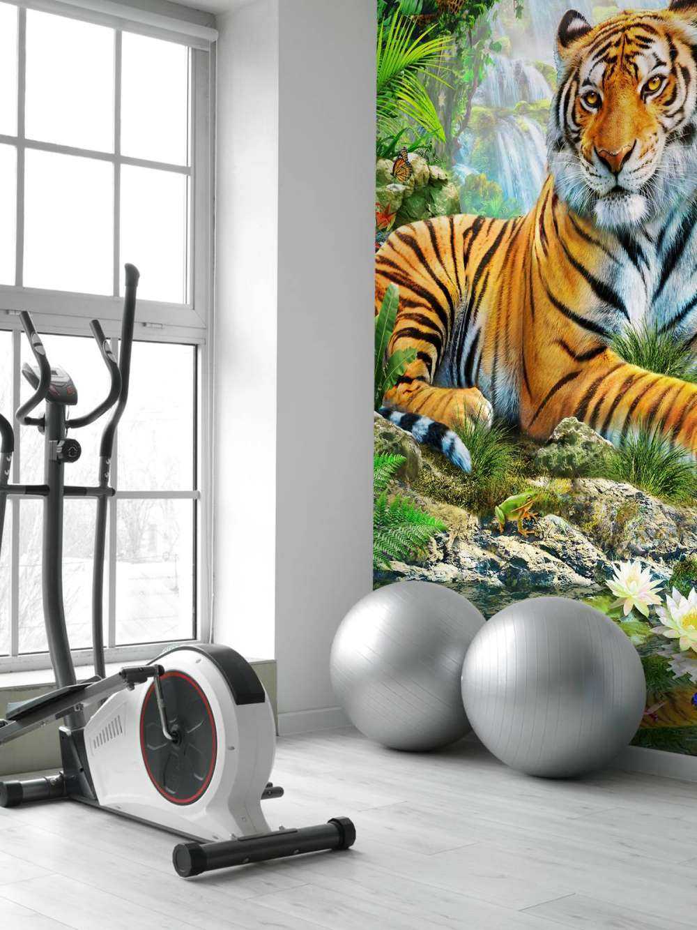 Tiger on a rock