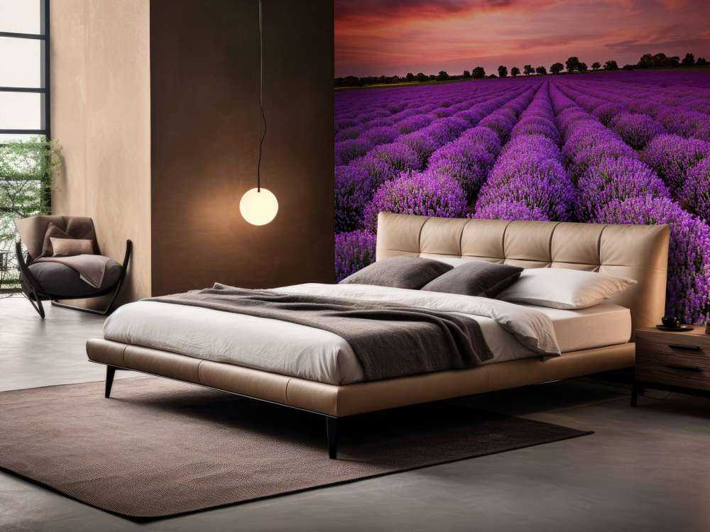 Feld mit Lavendel
