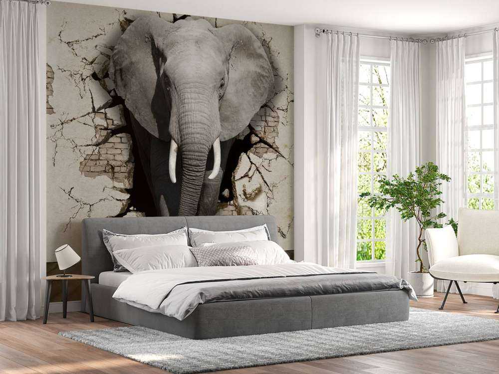 3D Elefant auf Fototapete