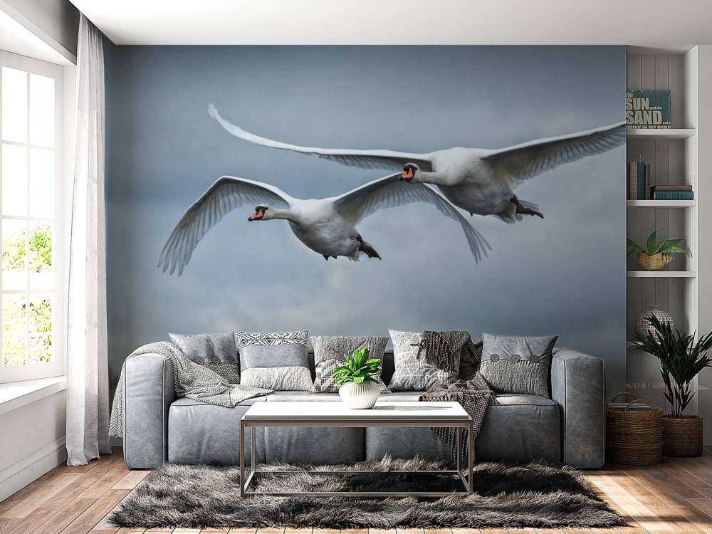 Fliegende Schwäne