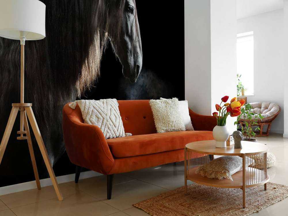 Schimmel mit schwarzem Hintergrund