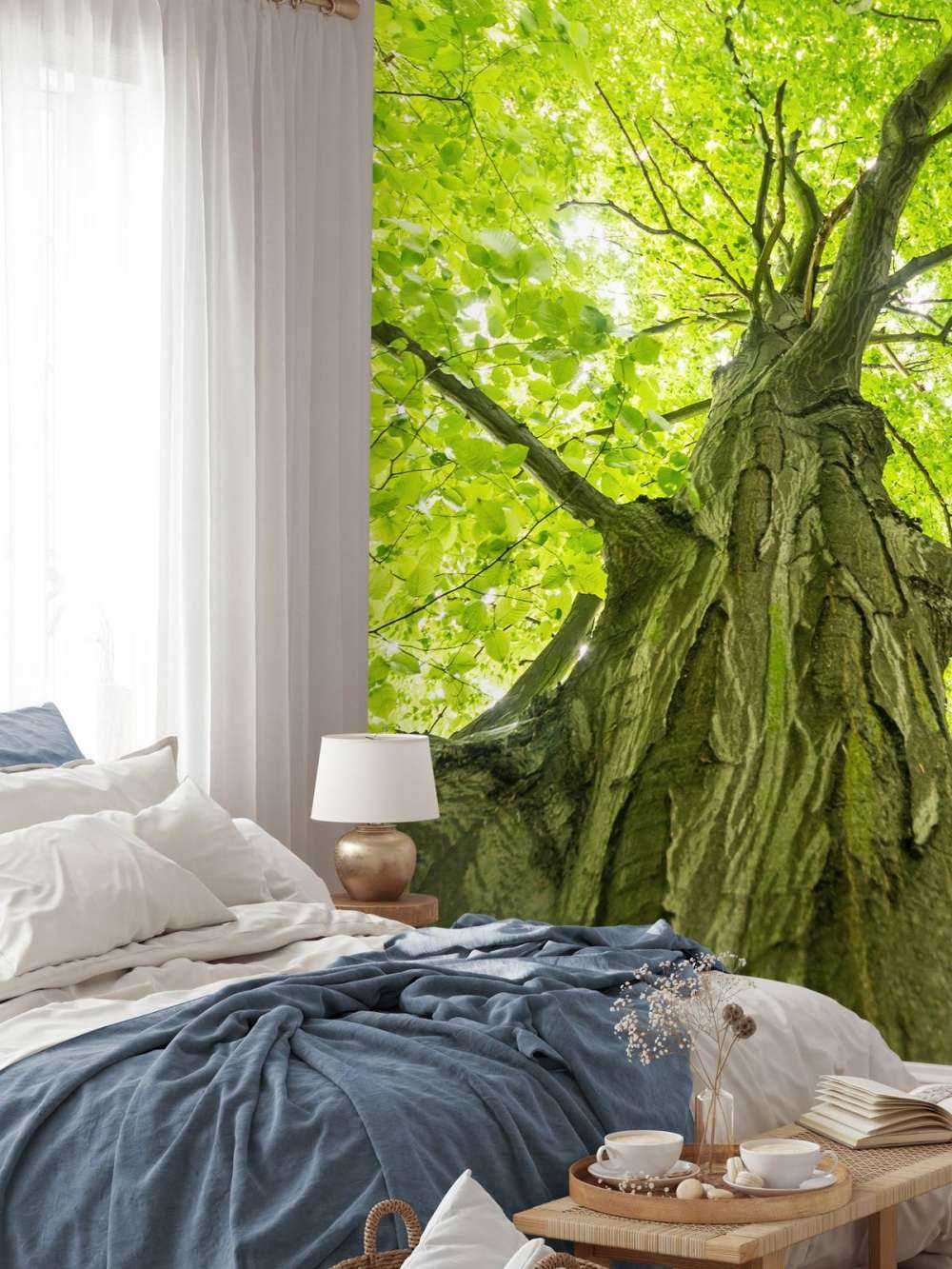 Großer Baum im Wald