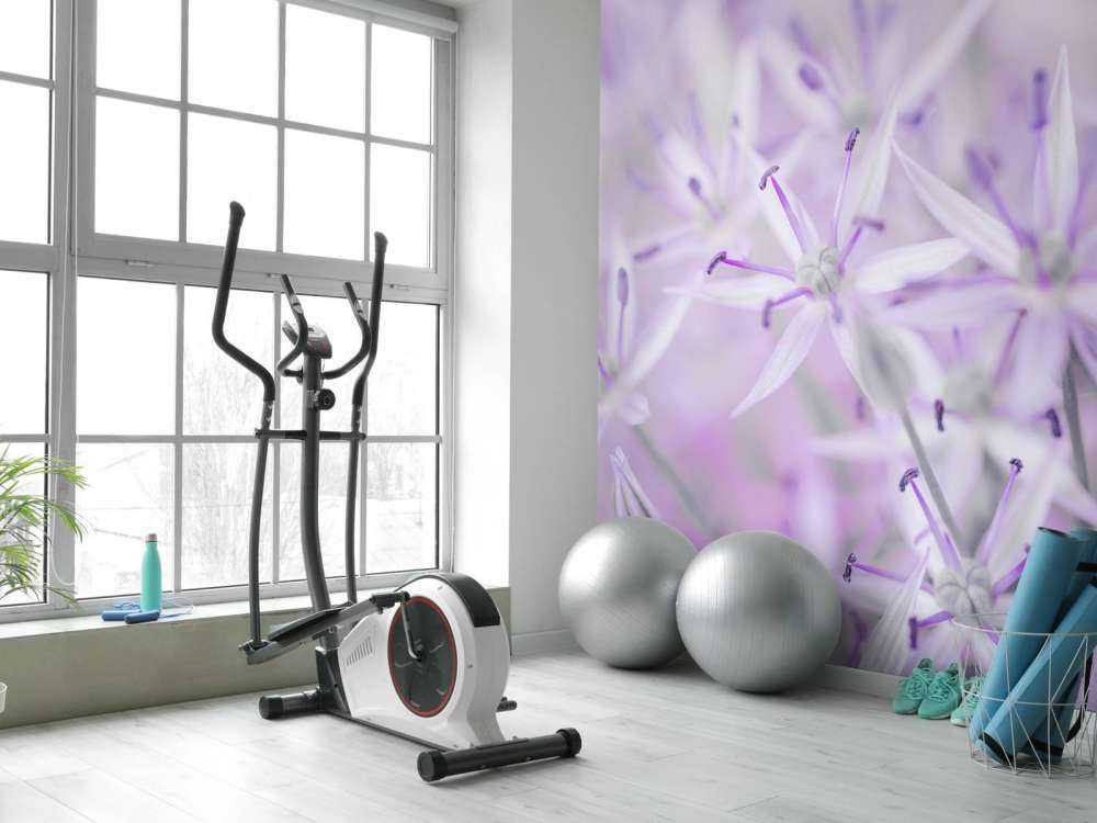 Nahaufnahme Allium-Blüten