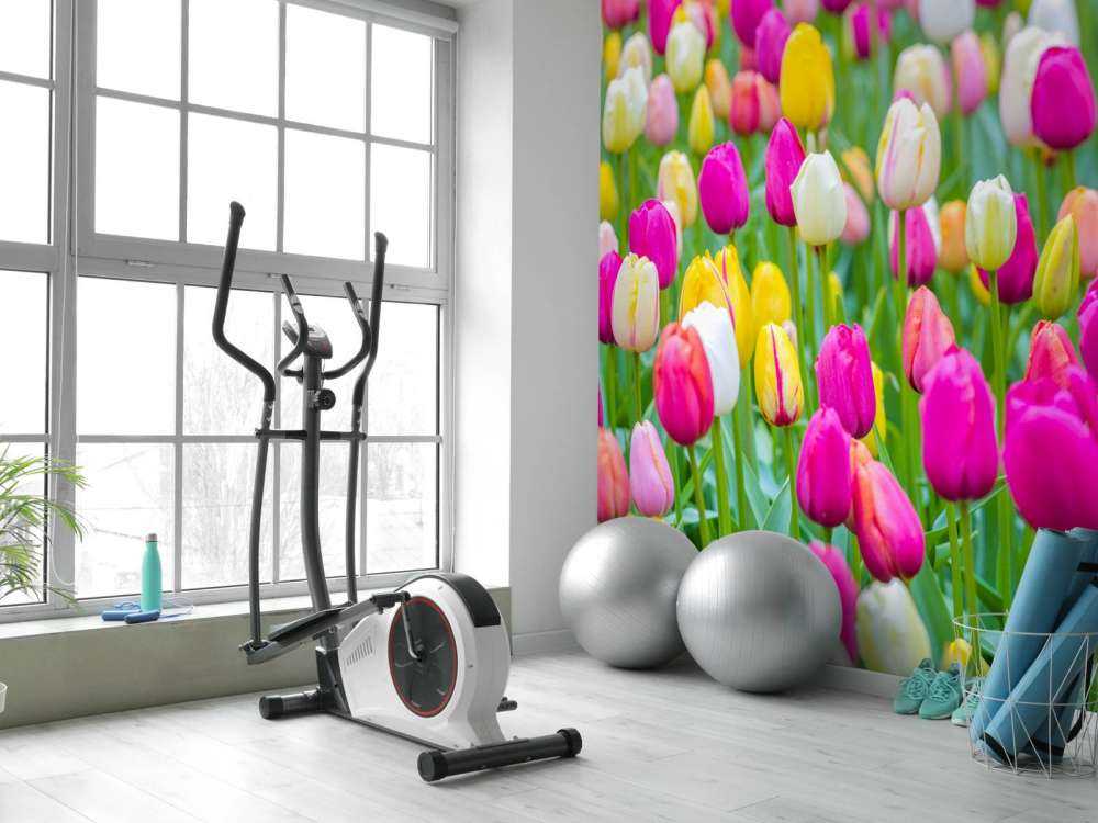 Bunte Tulpen auf einem Feld