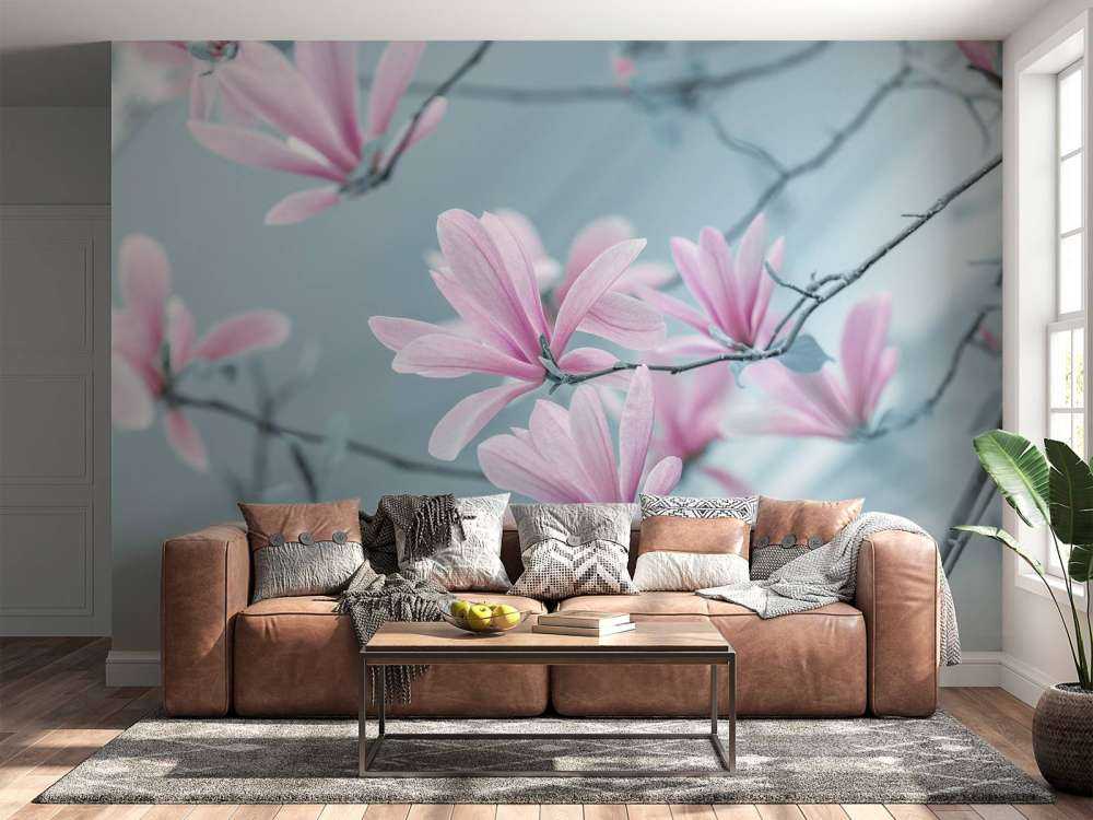 Magnolien Blumen