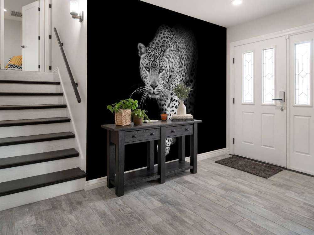 Leopard