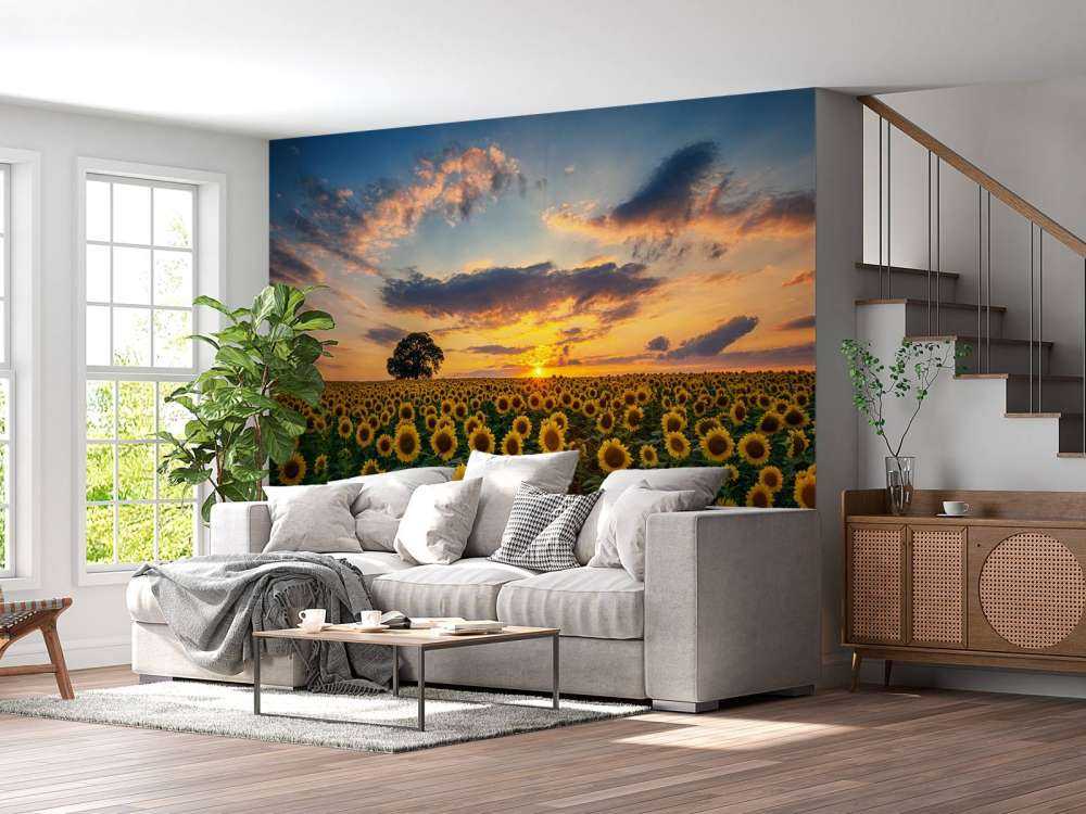 Feld voller Sonnenblumen