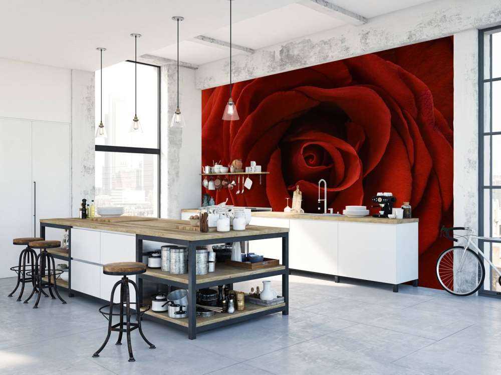 Nahaufnahme rote Rose