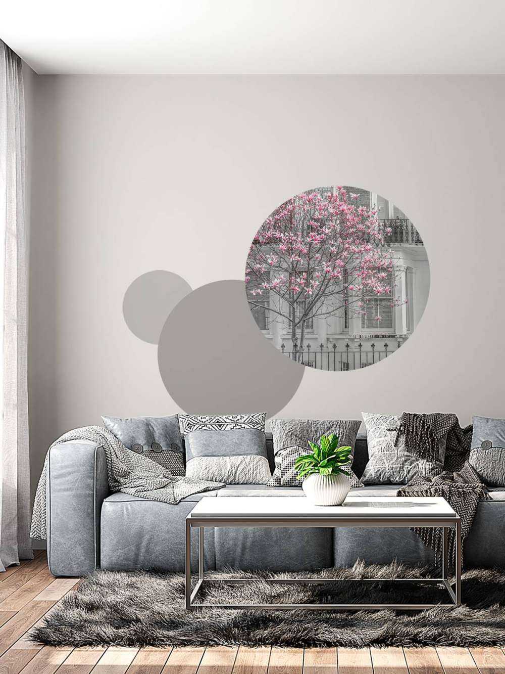 Blühender Magnolienbaum