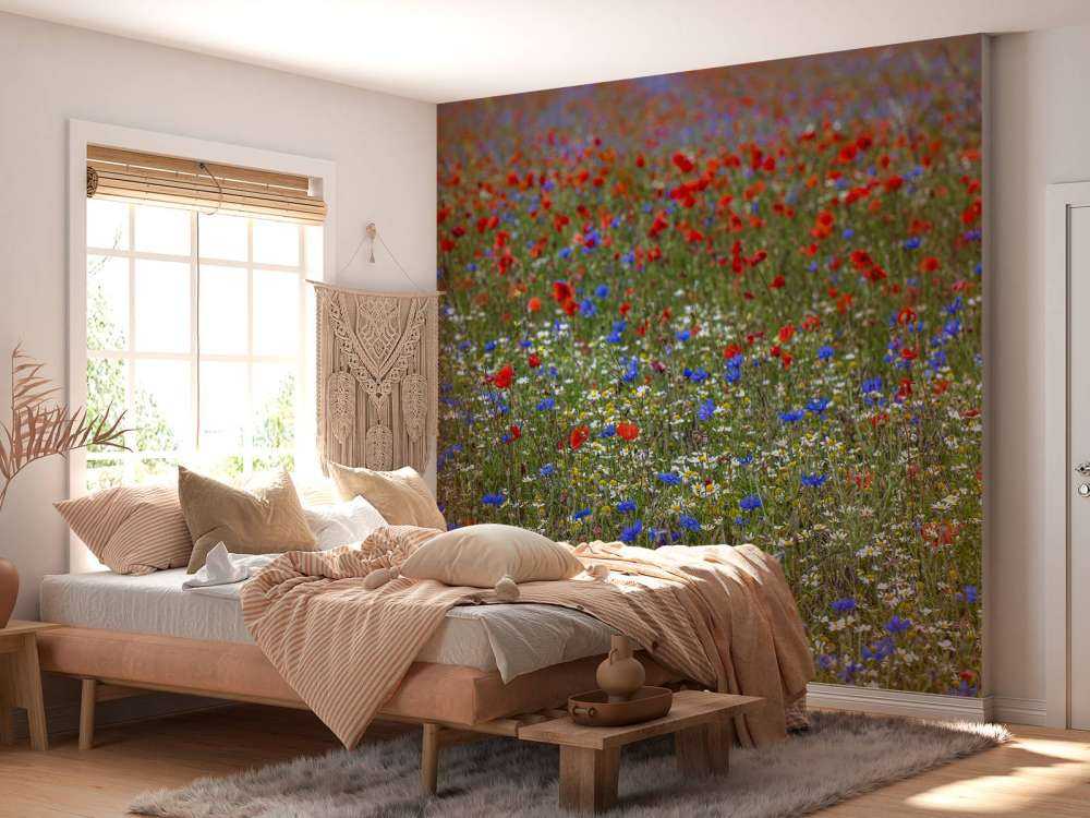 Feld voller Mohnblumen