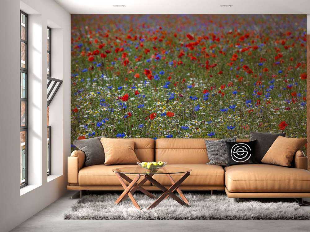 Feld voller Mohnblumen