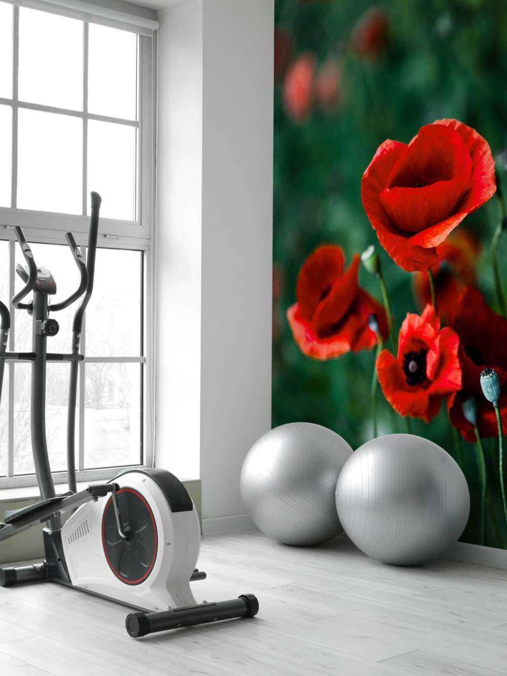 Mohn und Gras