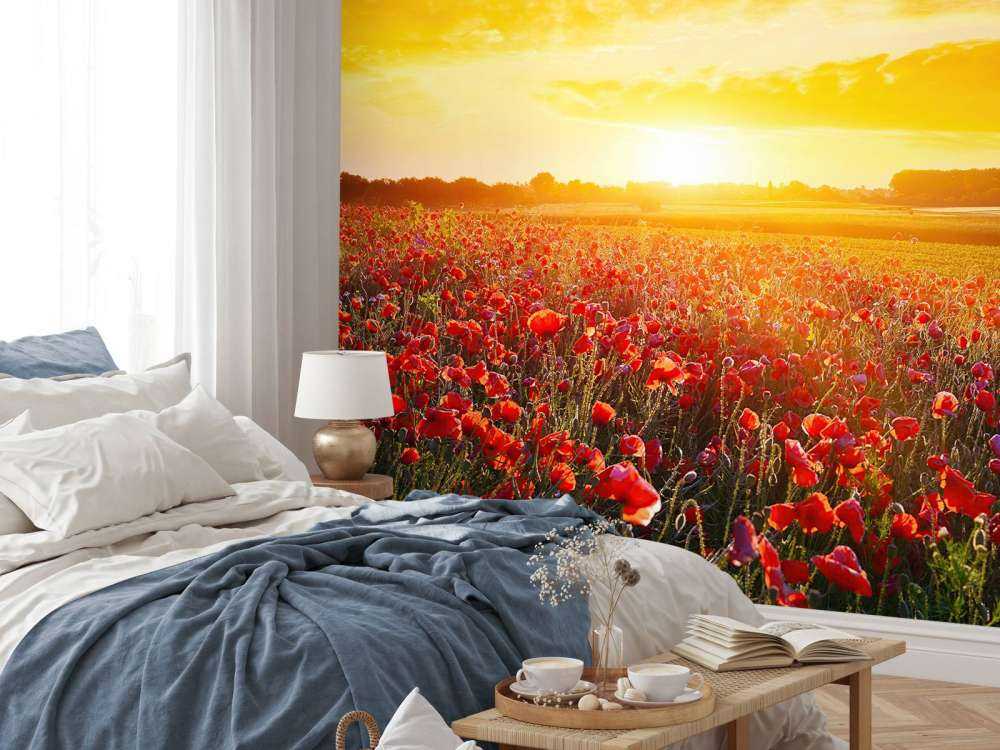 Mohnblumen und Sonnenuntergang