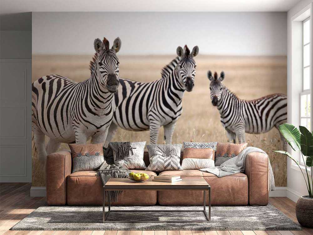 Zebras in der Natur