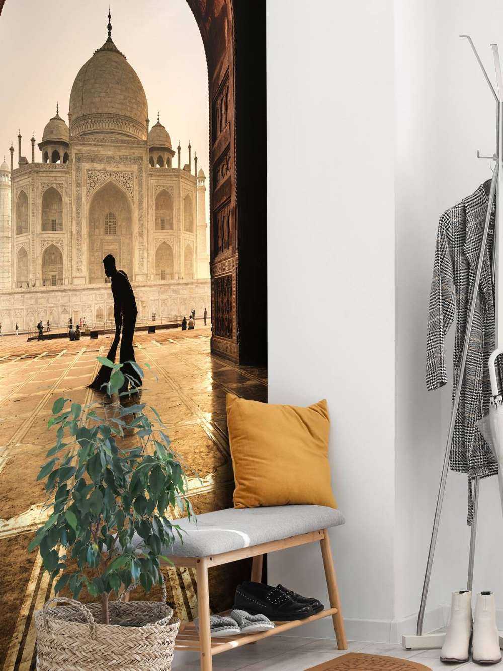 Taj mahal cleaner