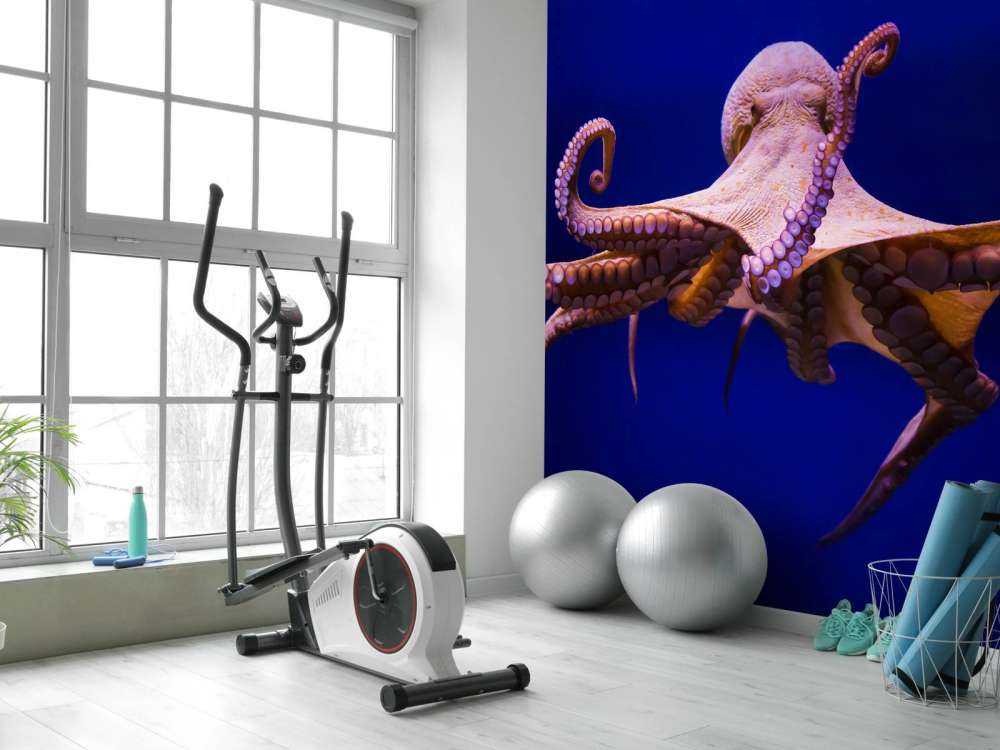 Oktopus
