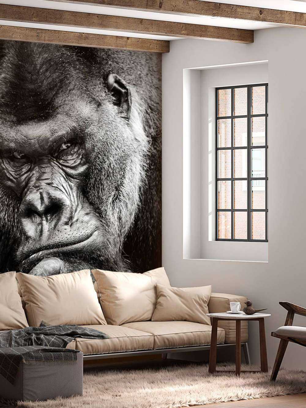Nahaufnahme Gorilla