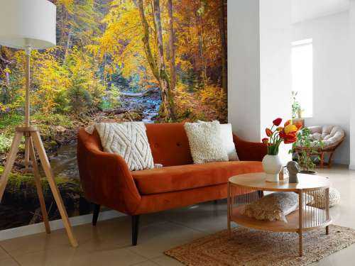 Herbst im wilden Wald