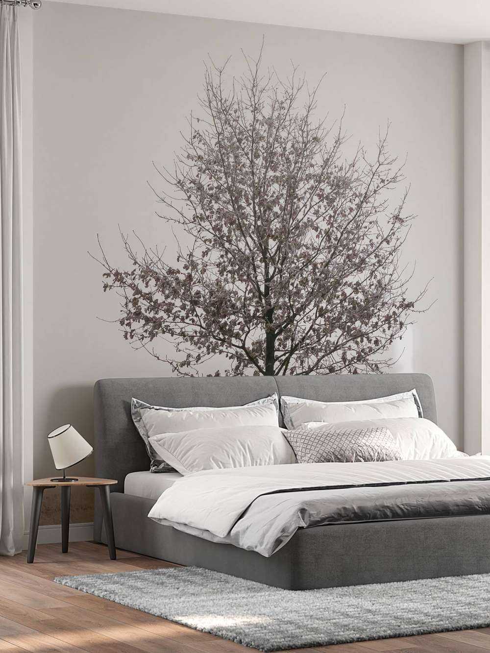 A lonely oak
