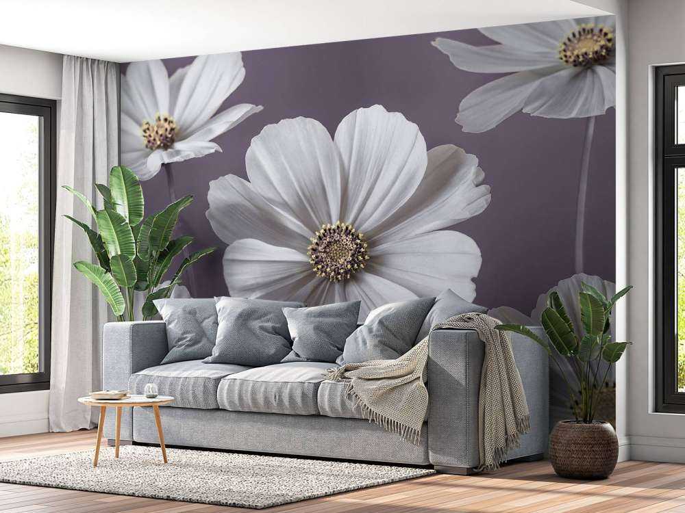 Kosmos Blumen