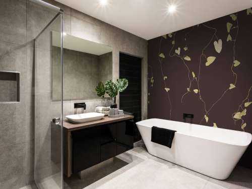 Goldrute aubergine