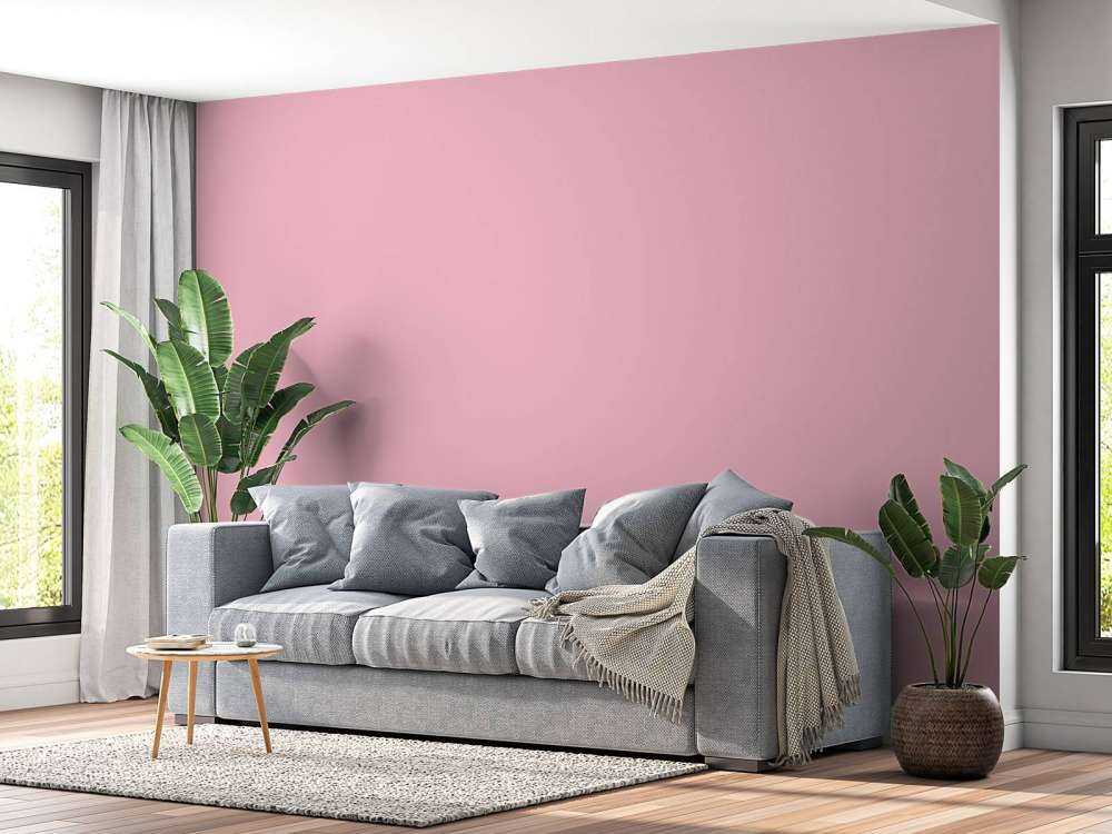 Kameo-Rosa